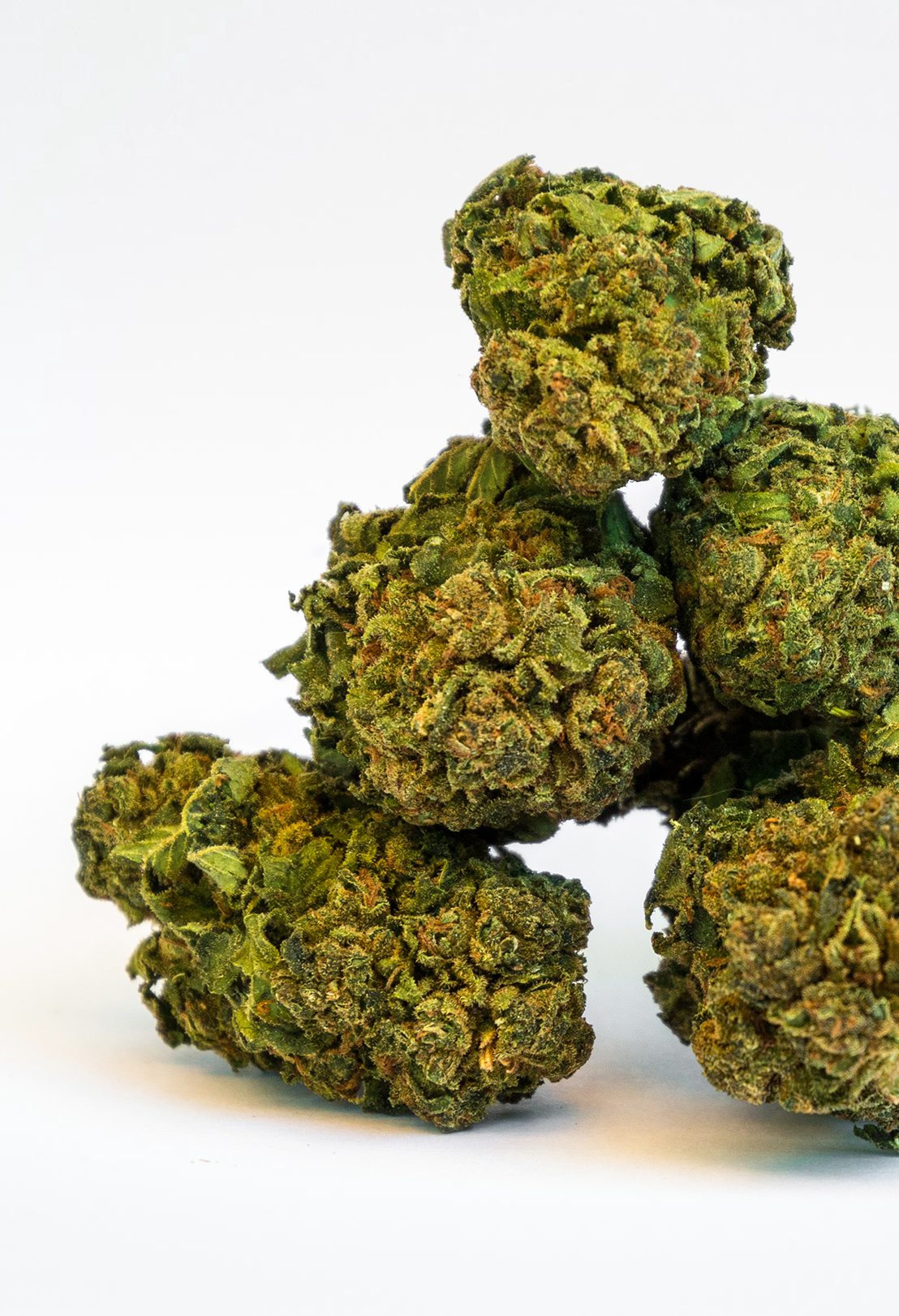 Premium Candy Kush Blüte