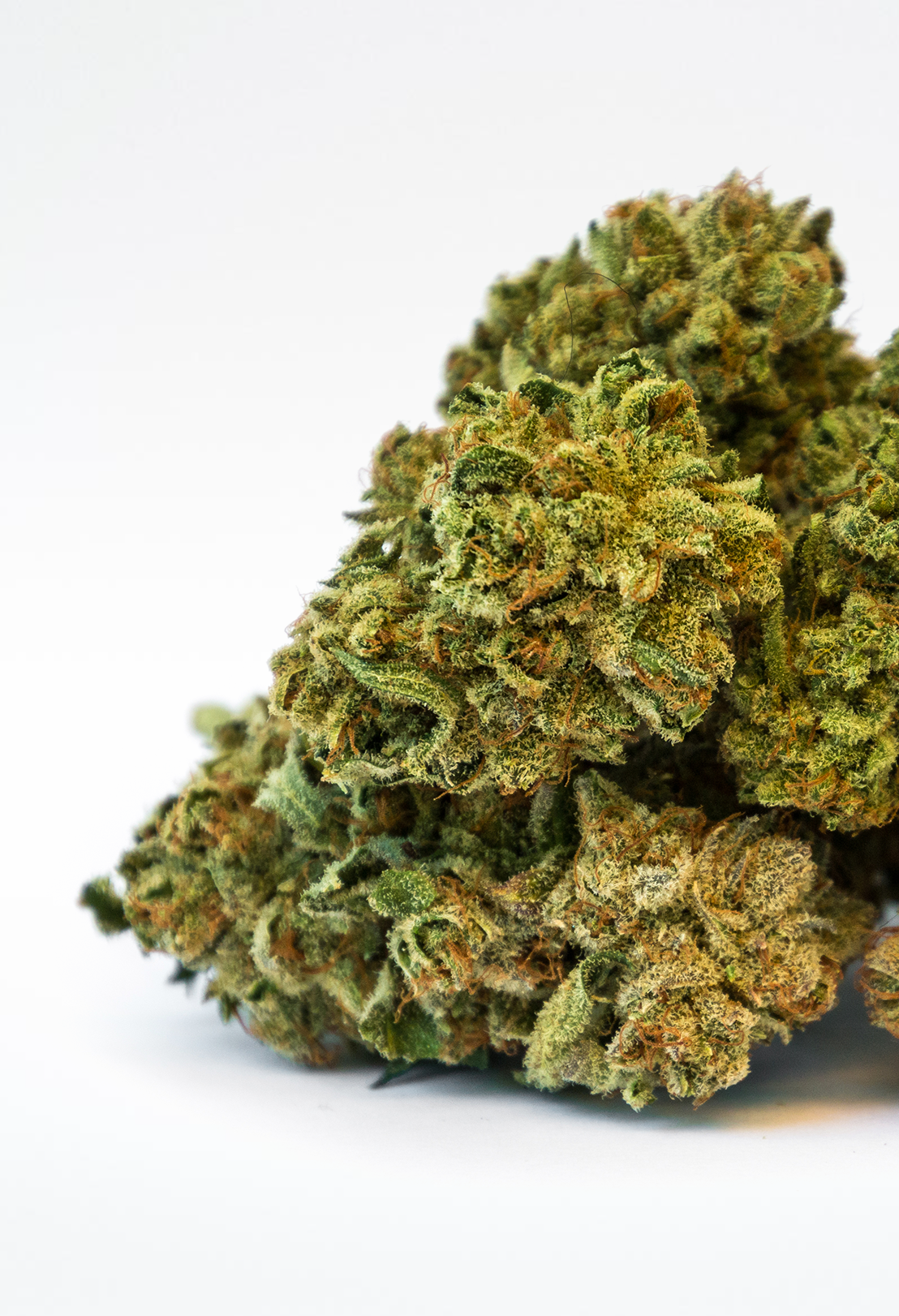 Premium Super Silver Haze Blüten