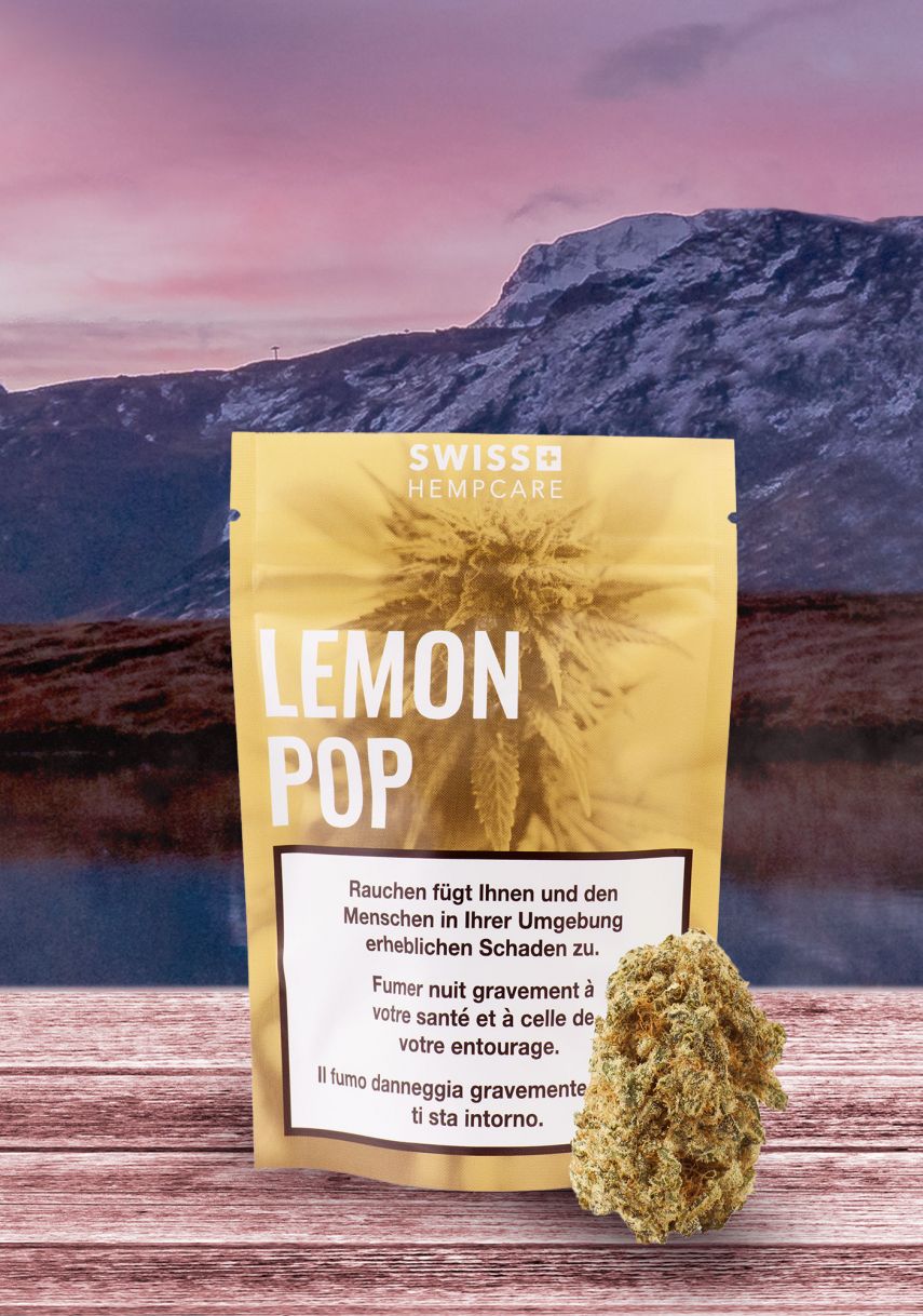 CBD Produkte - Lemon Pop Blüten von Swiss Hempcare