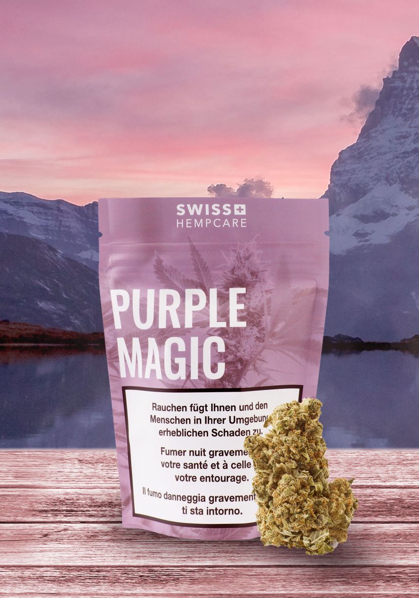 CBD Produkte - Purple Magic Blüten von Swiss Hempcare