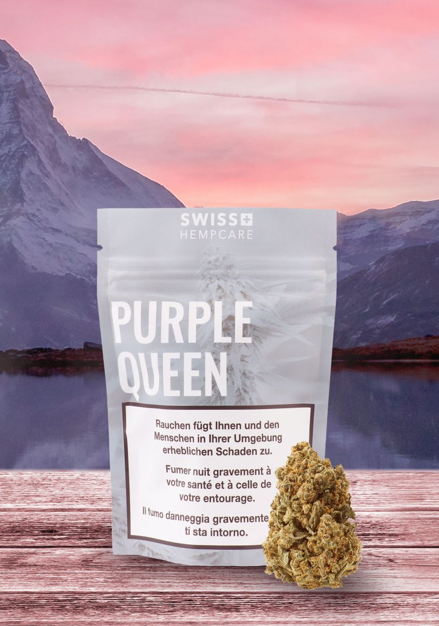 CBD Produkte - Purple Queen Blüten von Swiss Hempcare