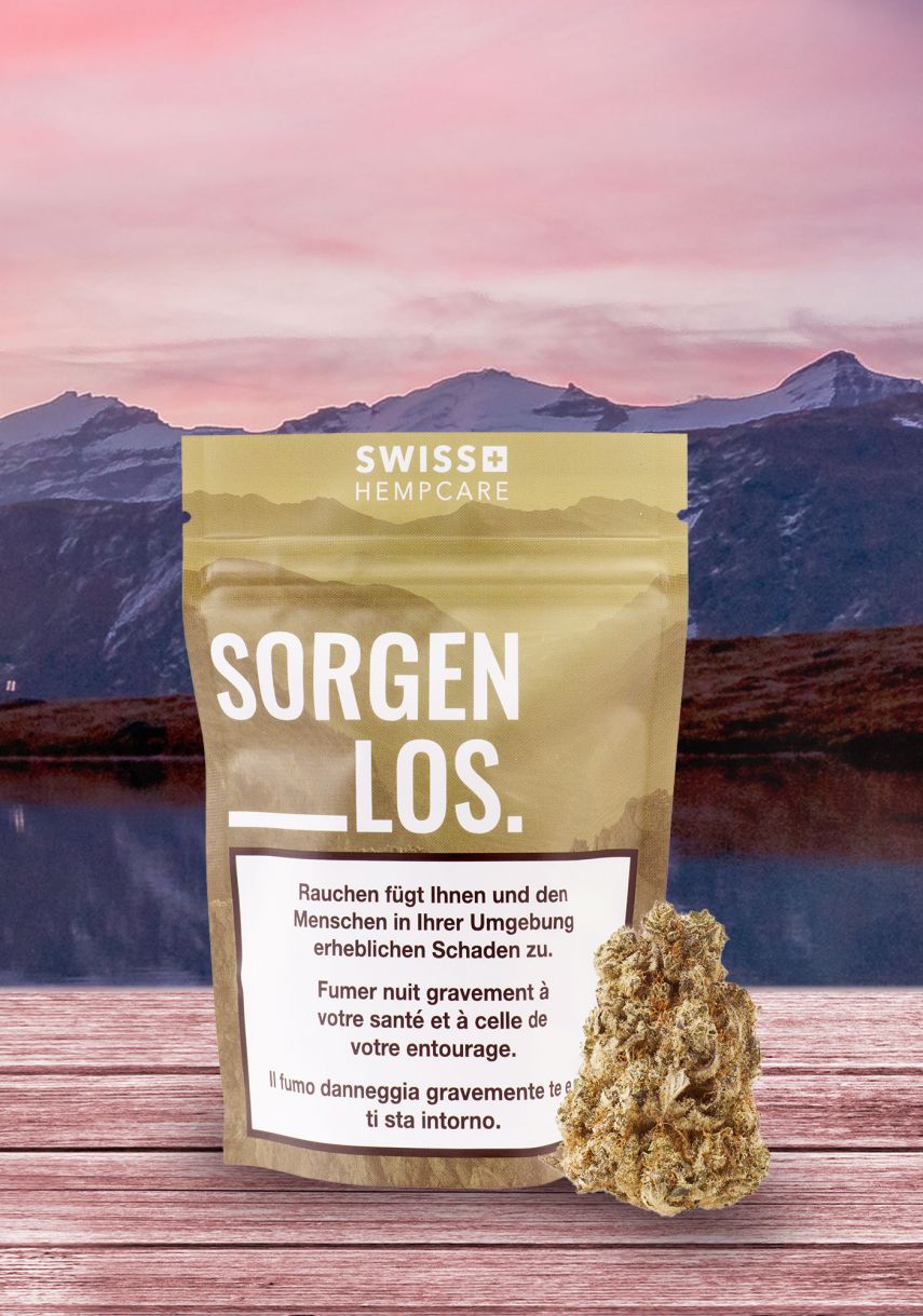 CBD Produkte - Sorgenlos Blüten von Swiss Hempcare