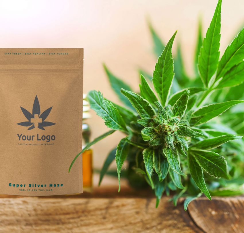 Blütenbeutel mit Hanfpflanze